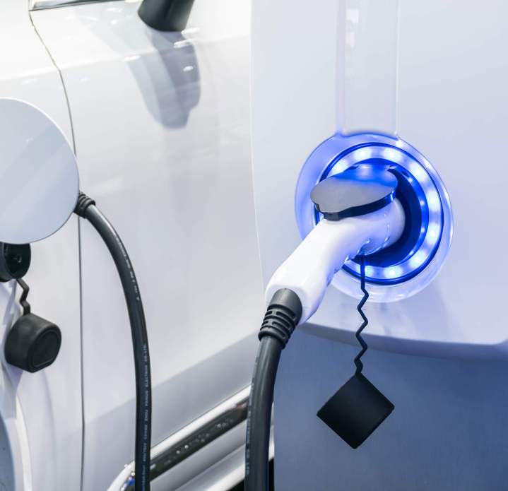 shutterstock 1134510527